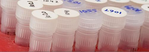 drug testing resized 600