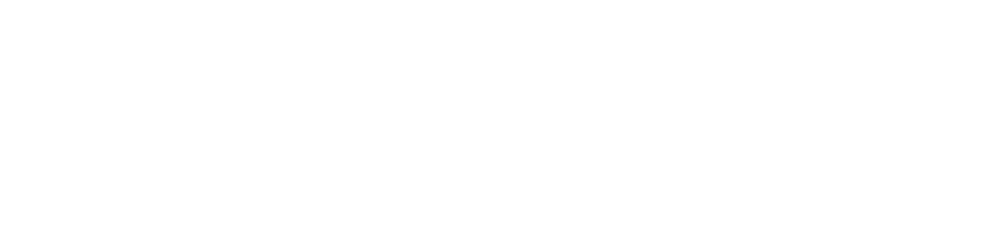 MSGCPA Logo White-hires